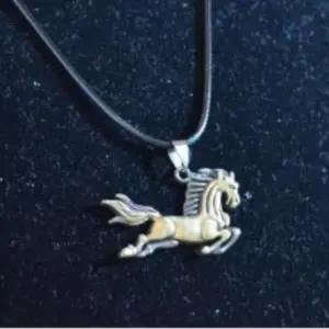 XC-006 Collar de Cuero con Dije