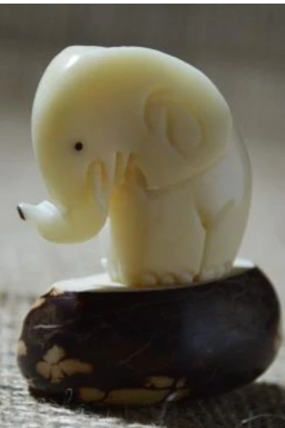 AA-410 Elefante Pequeño