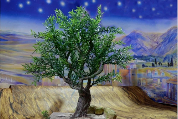 PC-009 Árbol Mediano