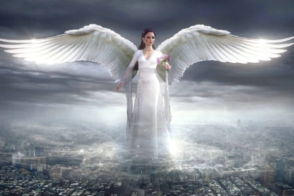 Lee más sobre el artículo Todo sobre los Ángeles