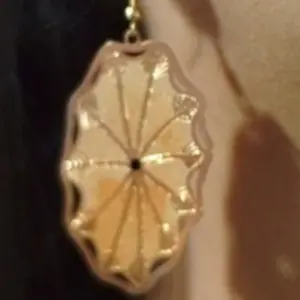 XA-222 Zarcillos Redondo Papiros