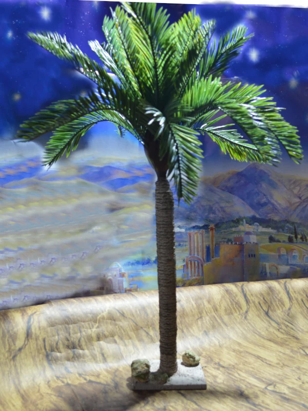 PC-007 Palmera Datilera
